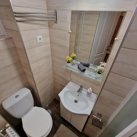 Bercsenyi - Close To The Rudas Thermal Bath Apartmán *