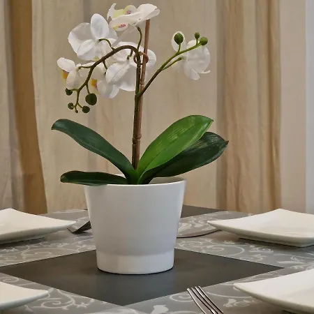 Bercsenyi - Close To The Rudas Thermal Bath * 부다페스트