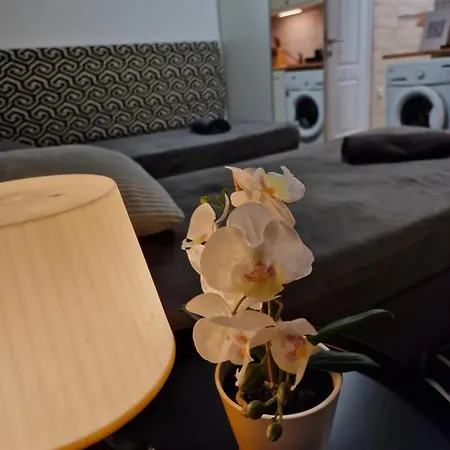 Bercsenyi - Close To The Rudas Thermal Bath 부다페스트