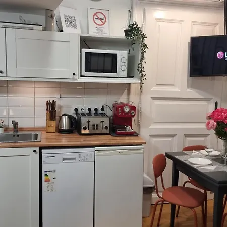 Apartment Bercsenyi - Close To The Gellert Thermal Bath *