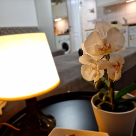 Apartment Bercsenyi - Close To The Gellert Thermal Bath *