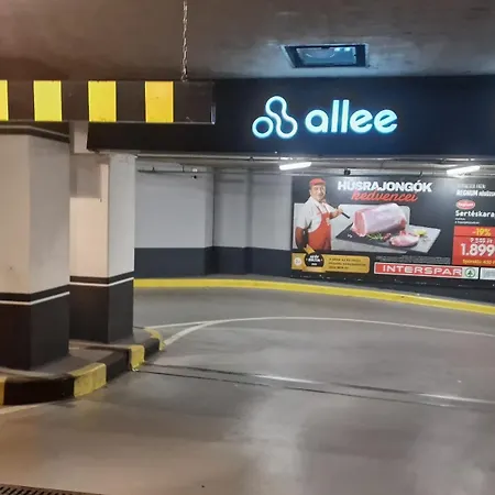 Bercsenyi - Close To The Rudas Thermal Bath *